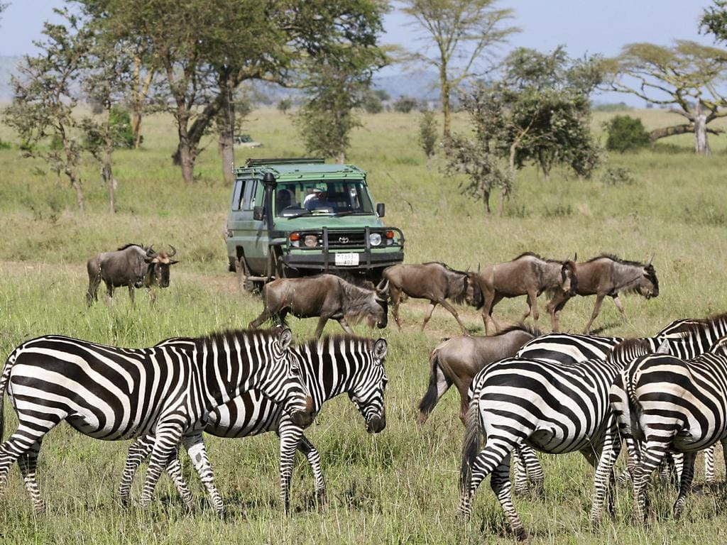第一次去肯尼亚，只有5到7天，什么时候去体验最好？