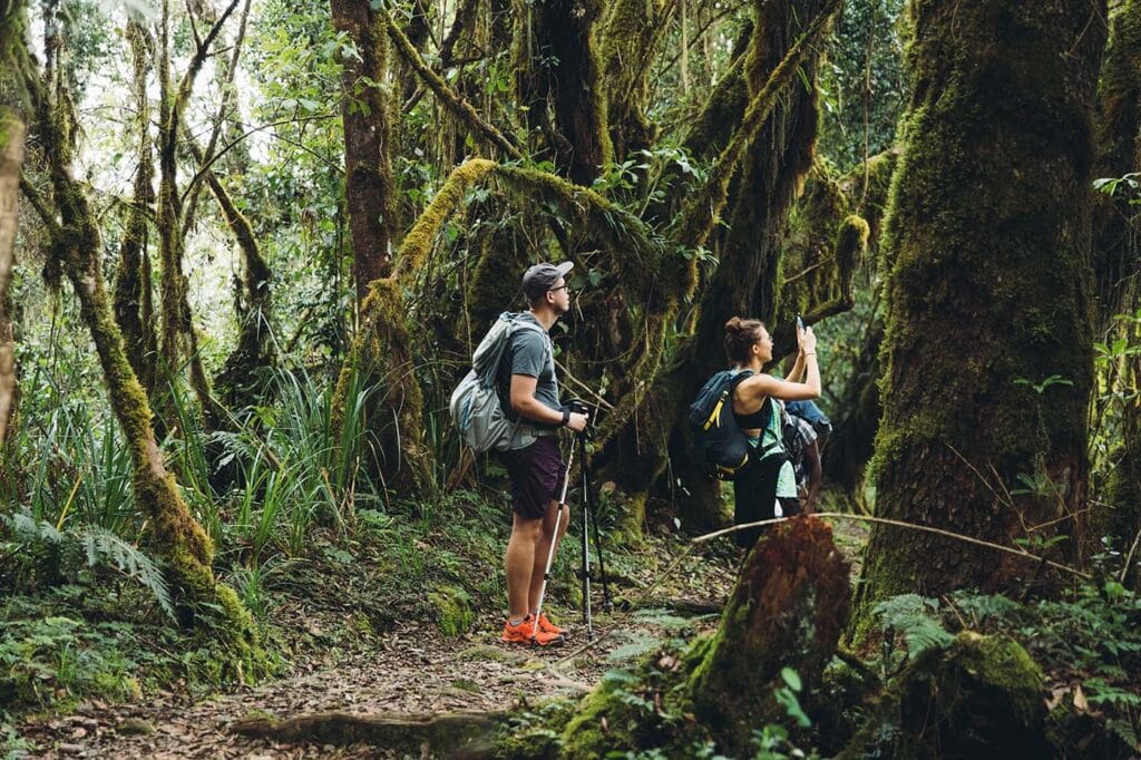 7天坦桑尼亚徒步探险：马查梅路线攀登