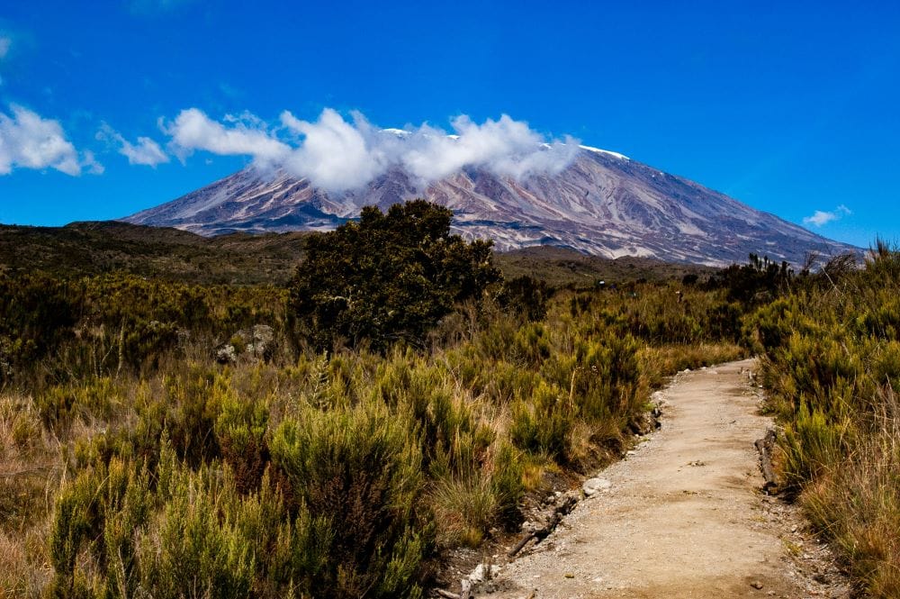 Barafu Camp to Uhuru Peak to Mweka Camp - Elevation (ft/m): 15